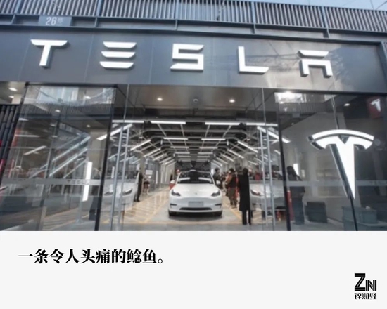 特斯拉的价格，就像菜市场的猪肉涨跌不定